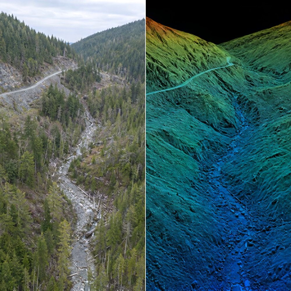 Split view of the same forested block: aerial photograph on the left, classified LiDAR ground surface with vegetation removed on the right