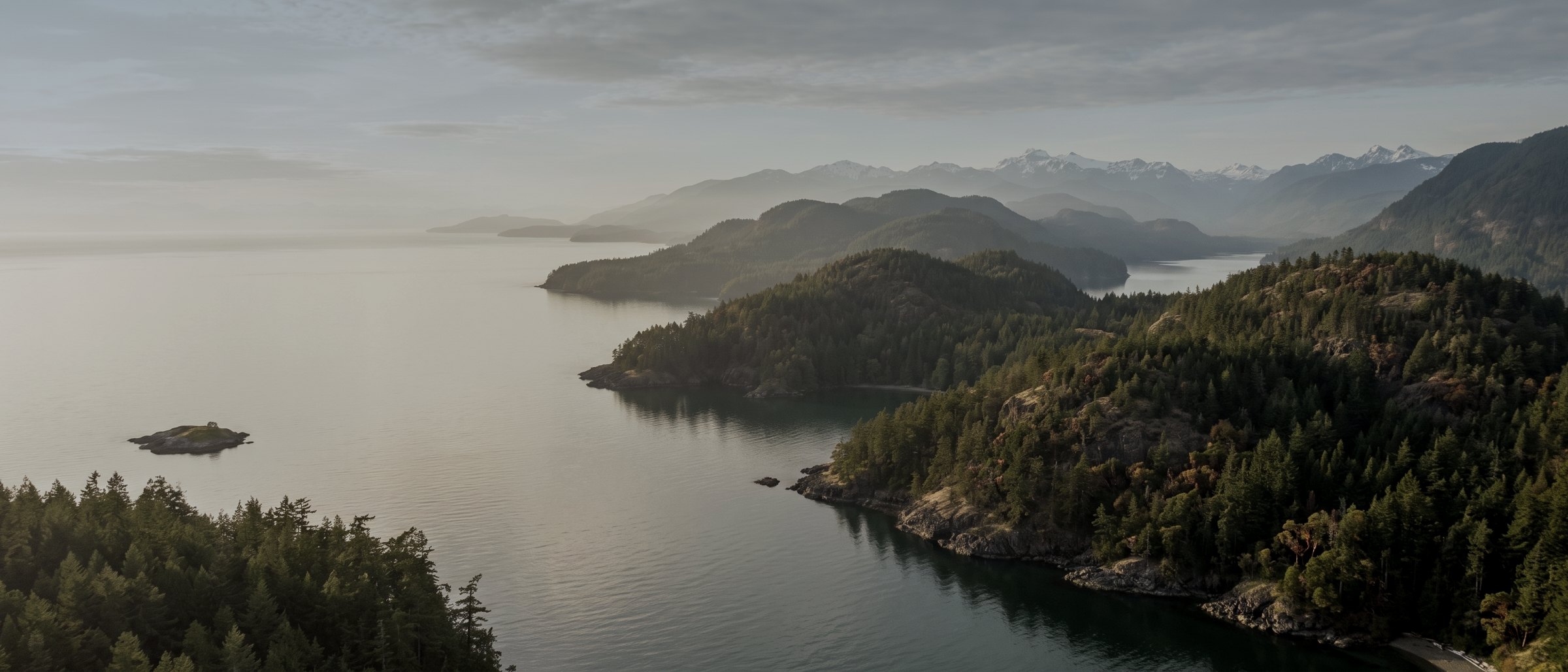 Forested Vancouver Island headlands and inlets fading into soft haze