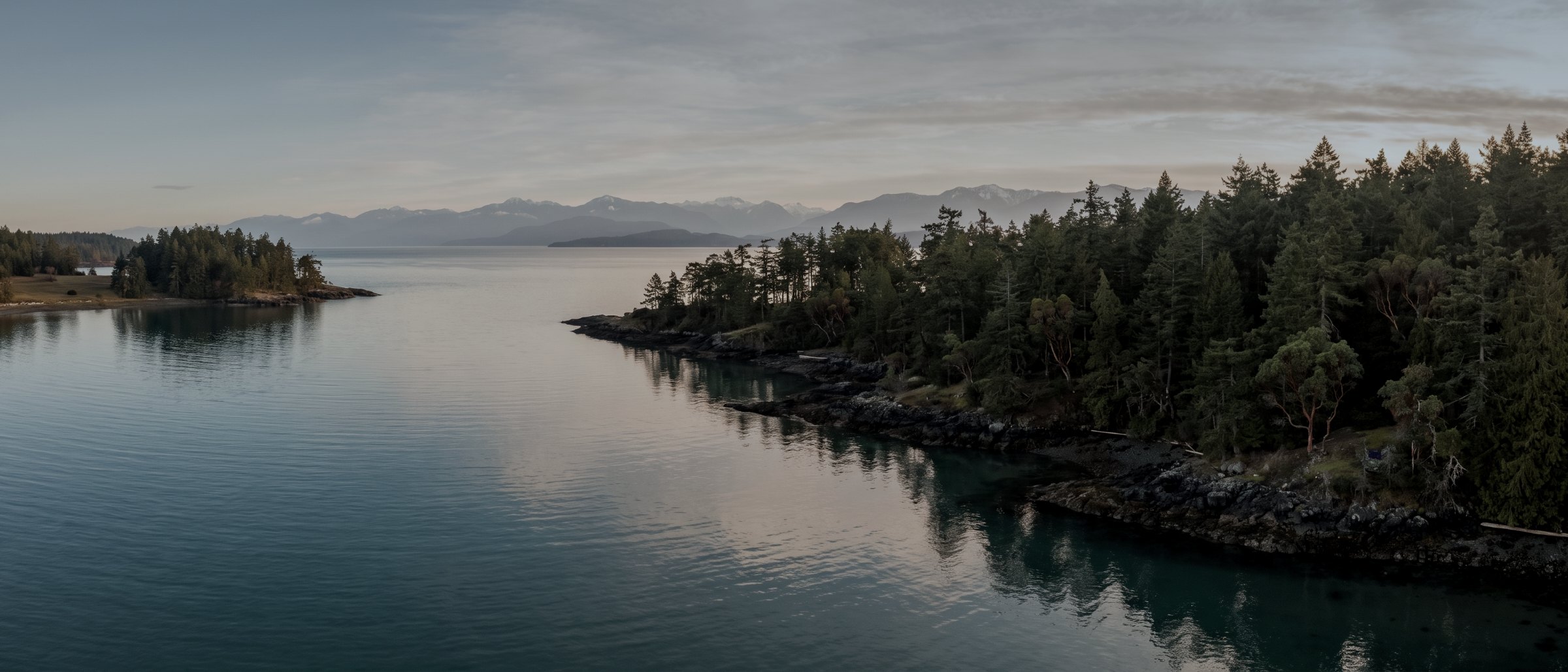 A calm Vancouver Island shoreline and inlet under soft evening light
