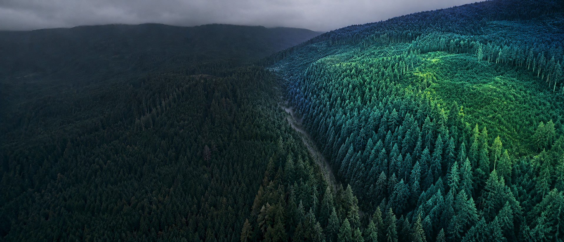 Drone LiDAR survey over forested terrain on Vancouver Island with a DJI M350 RTK in flight
