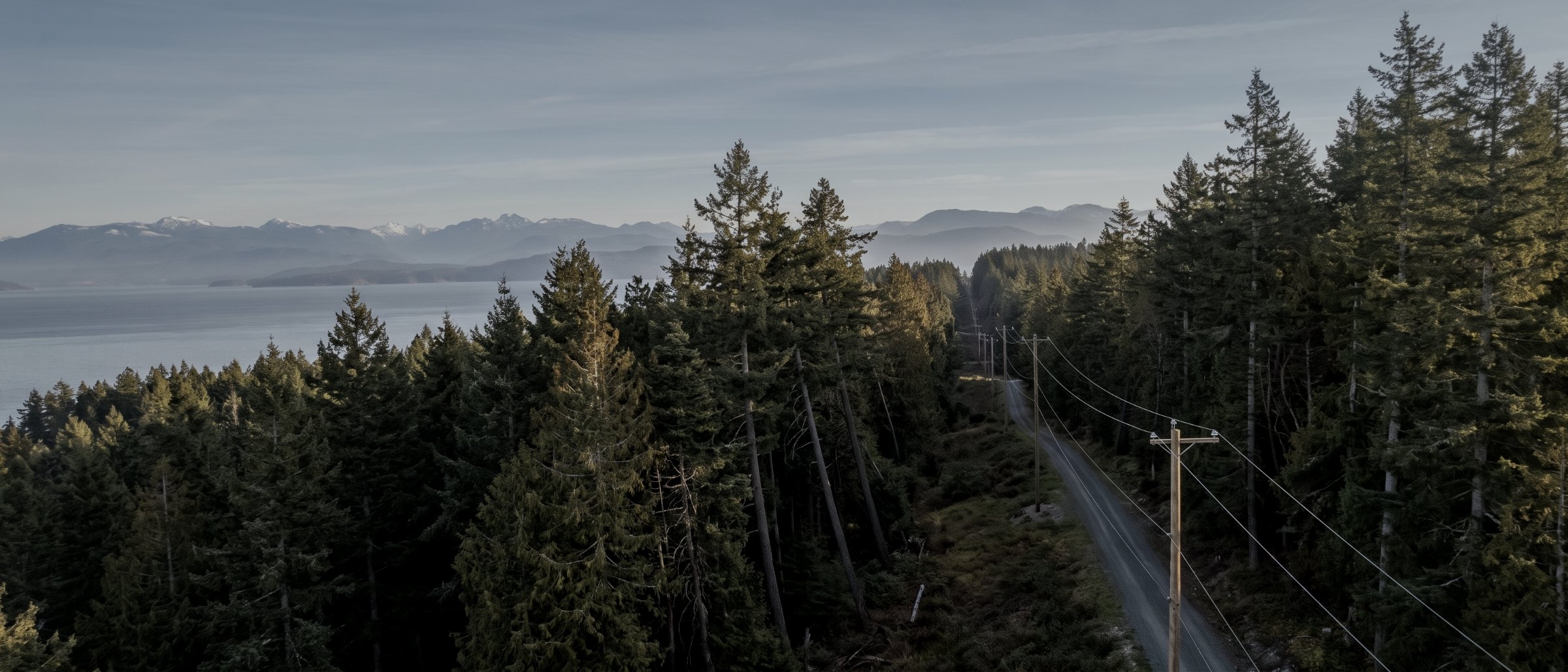 Aerial view of a powerline running through dense coastal forest on Vancouver Island