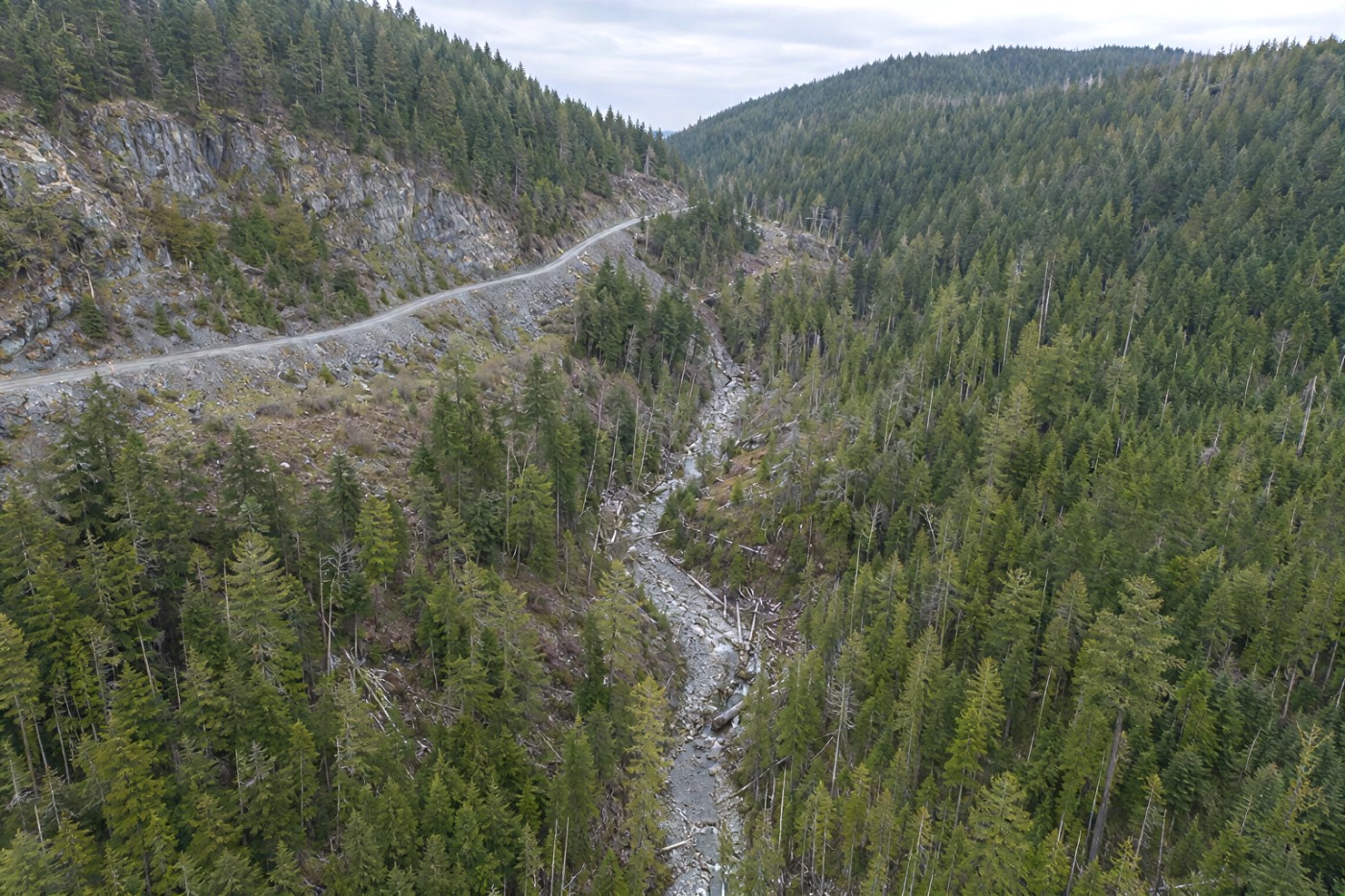 Aerial photograph of a forested block on Vancouver Island, canopy filling the frame